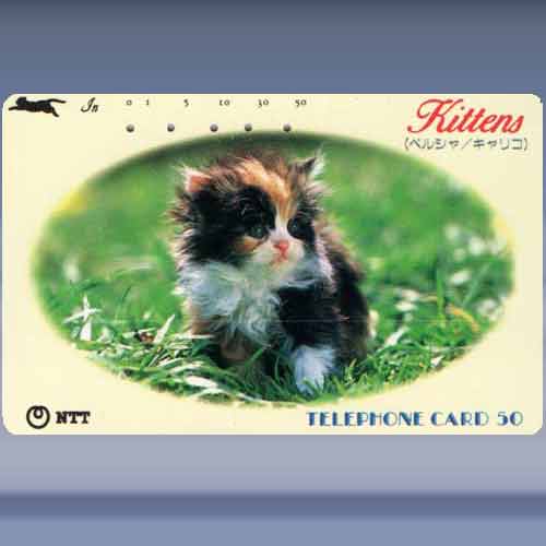 katten 4528